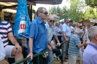 Clicca sulla foto per vedere ingrandimento